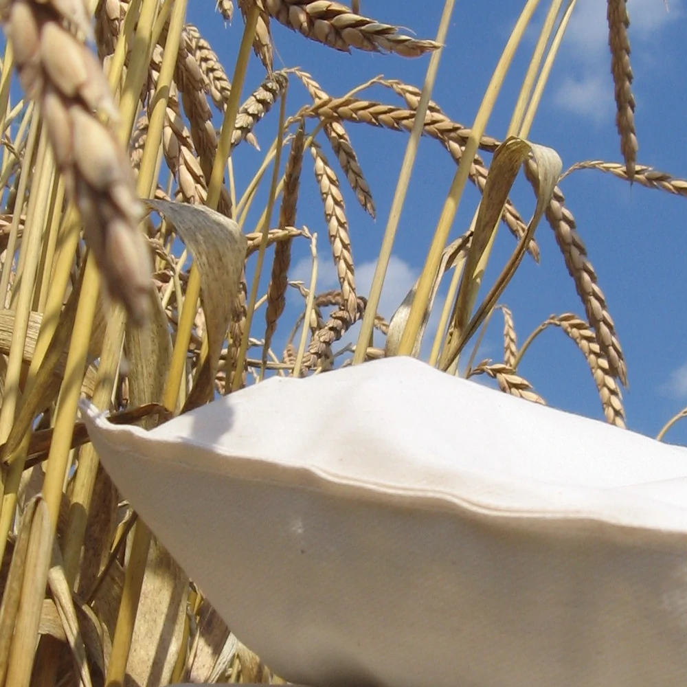 tönköly alvópárna